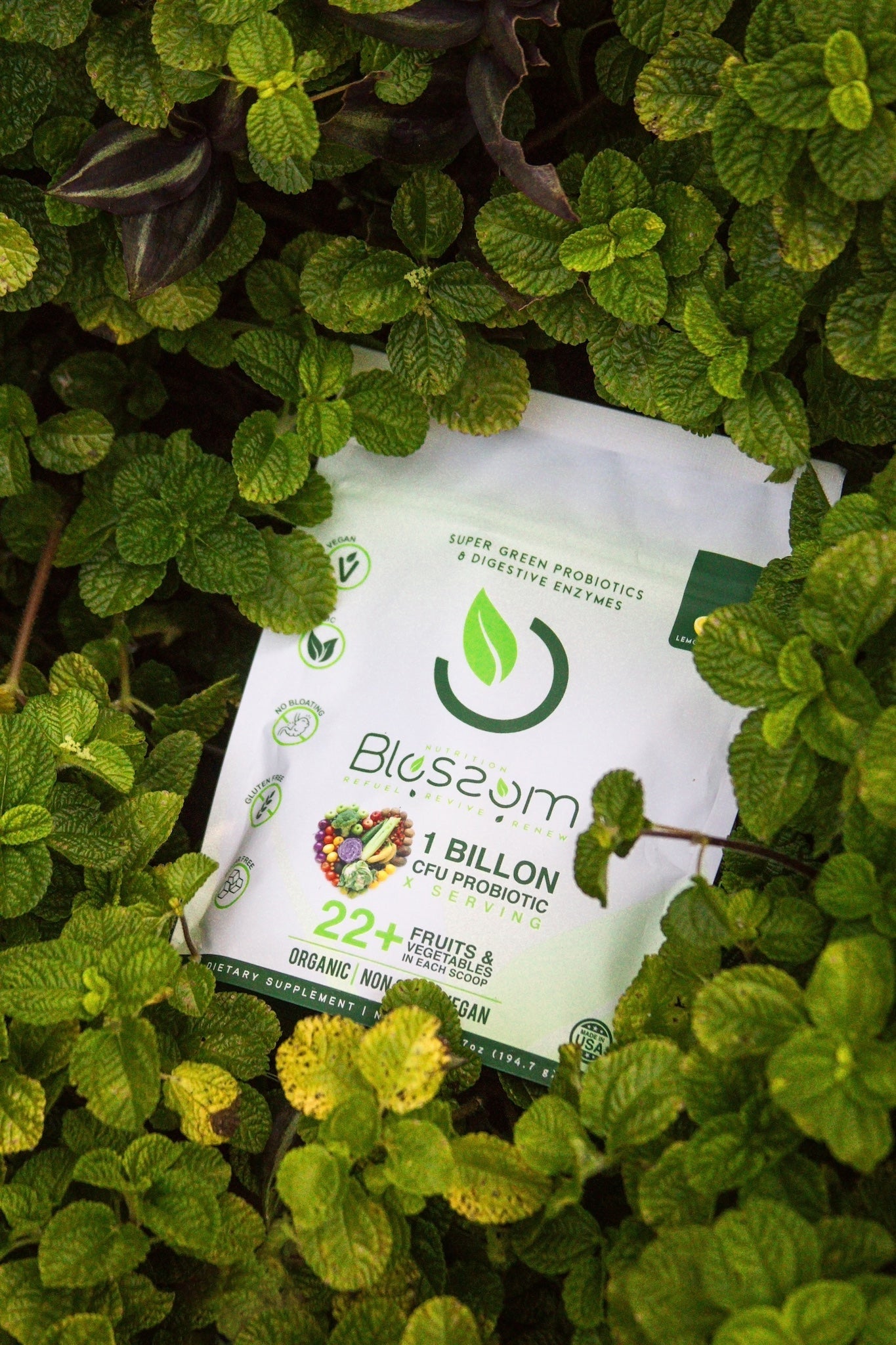 Blossom Super Greens: Organic Probiotic & Enzyme Blend for Digestive Health - Blossom Super Greens